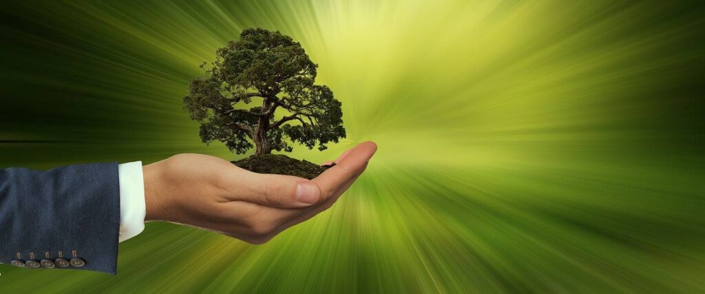 Sustainable practices for Chemical Sourcing and distribution