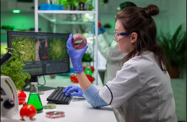 Food Chemical Trends & Concerns of 2024 Shaping the Future of Food & Beverage Industry