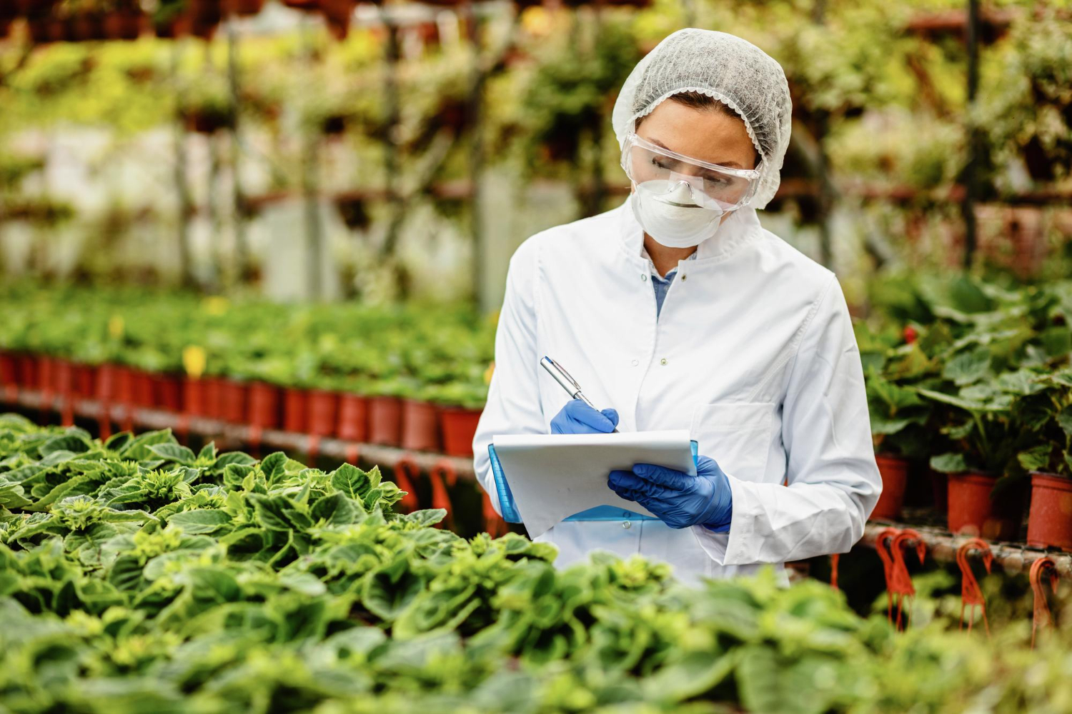 Navigating FDA Requirements for Food: Tips for U.S. Producers and Importers