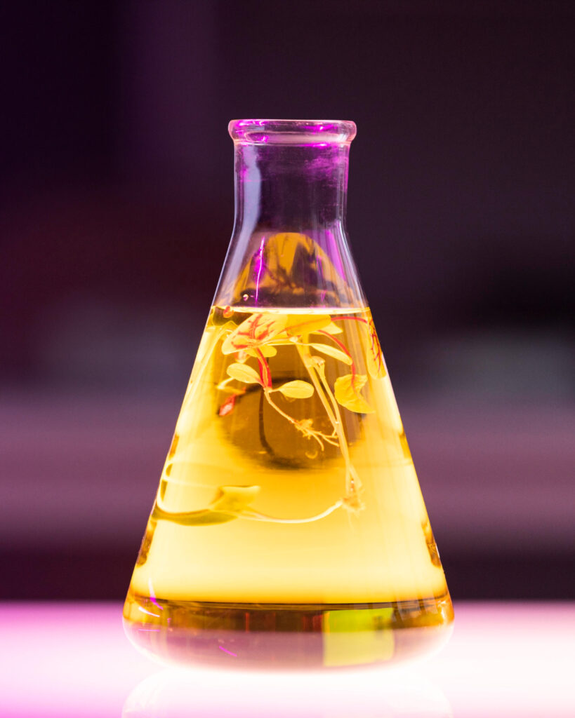 phenoxyethanol and caprylyl glycol