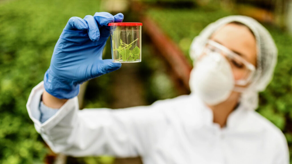 chemical sustainability in packaging innovation
