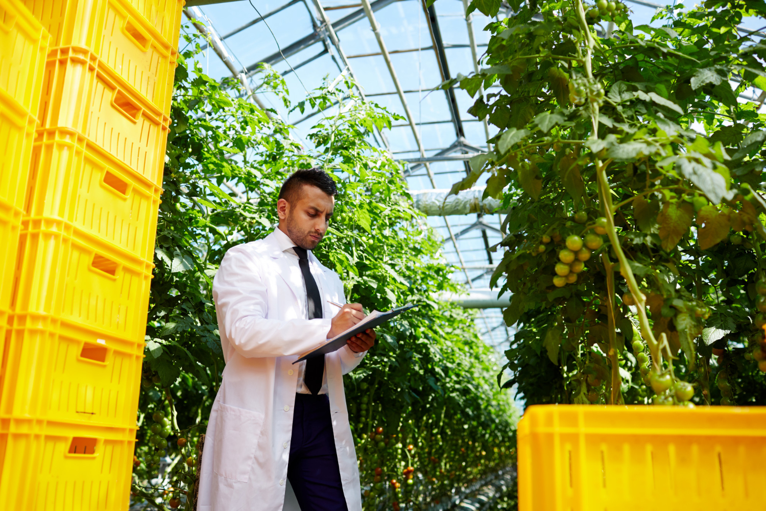 How Chemical Distributors and Suppliers Can Help Drive Sustainable Solutions Across Industries