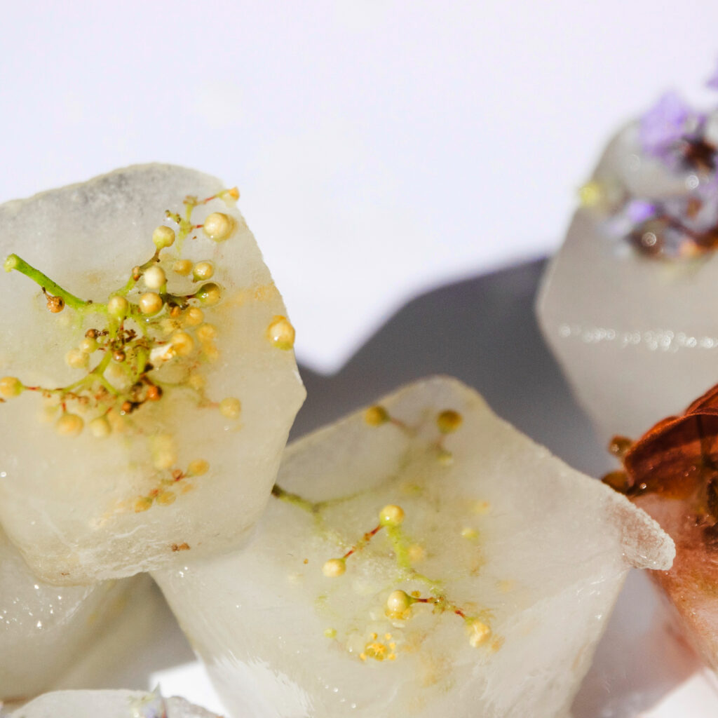 what is boswellia serrata