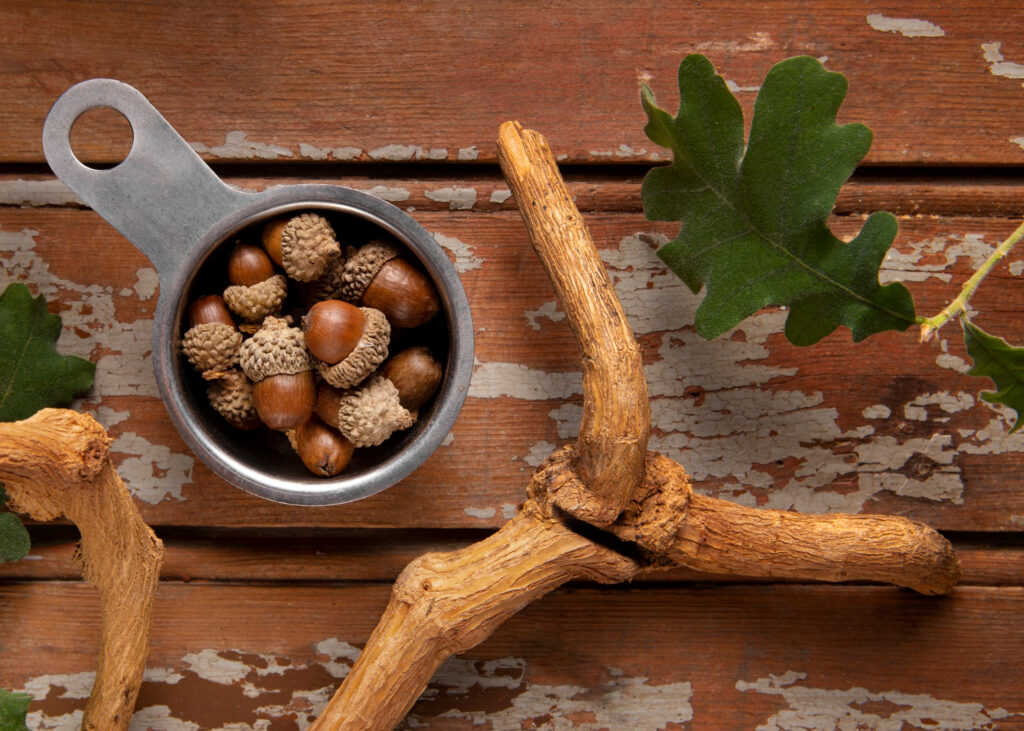 what is ashwagandha root for