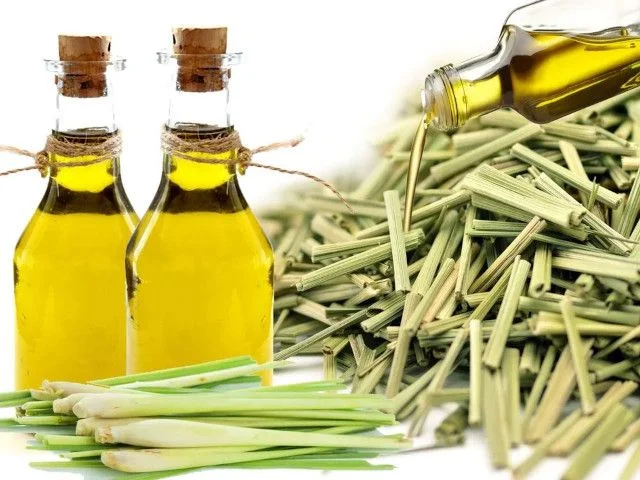 Lemongrass Oil Supplier vs. Manufacturer: A B2B Buyer’s Sourcing Guide