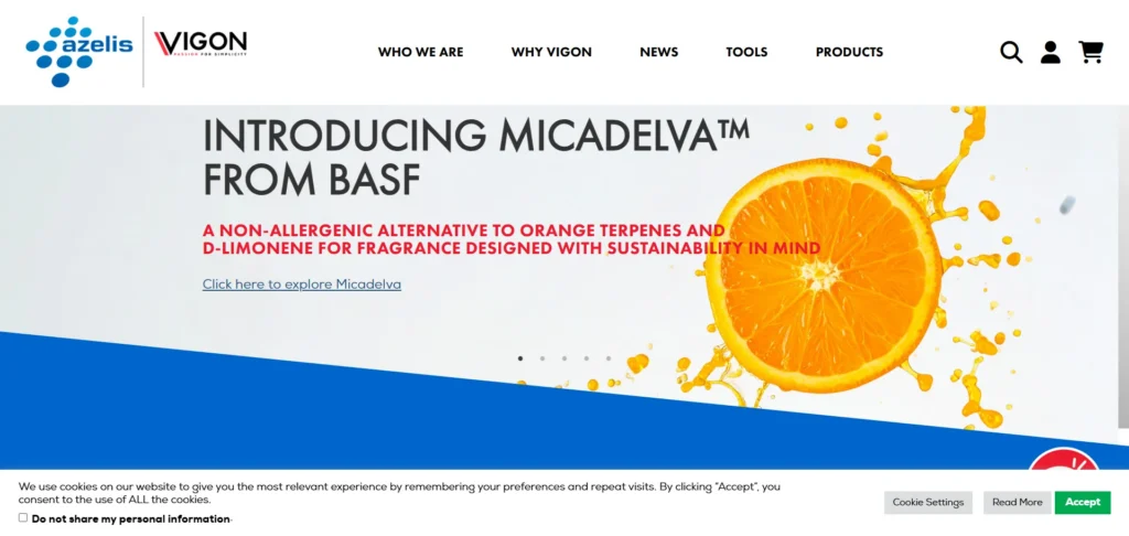 Vigon International homepage — specialty chemical and isopropyl alcohol supplier